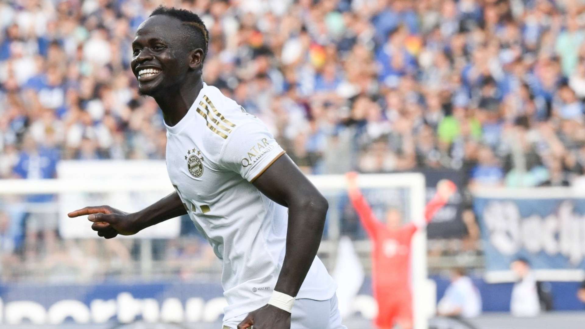 阵容多以 阵容多以